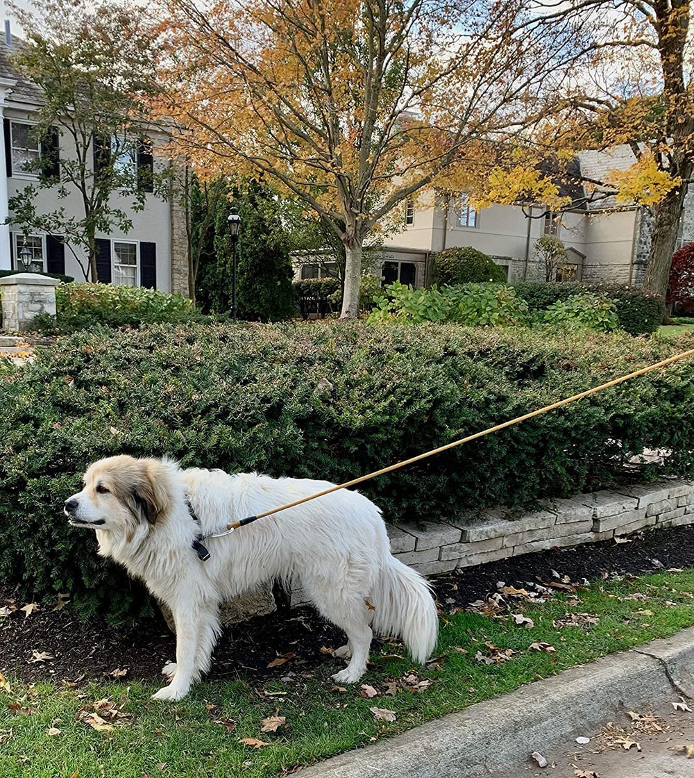 Enthusiast Gear suitable for large and medium dogs with durable nylon