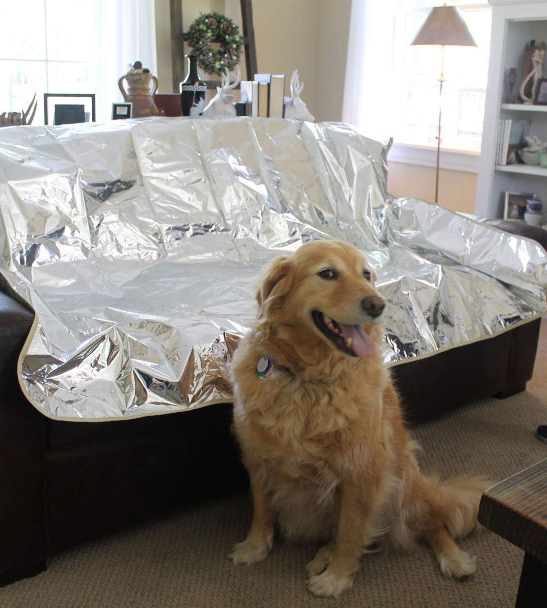 Enthusiast Gear Pet Repellent Mat on a sofa edge deters paws from furniture.