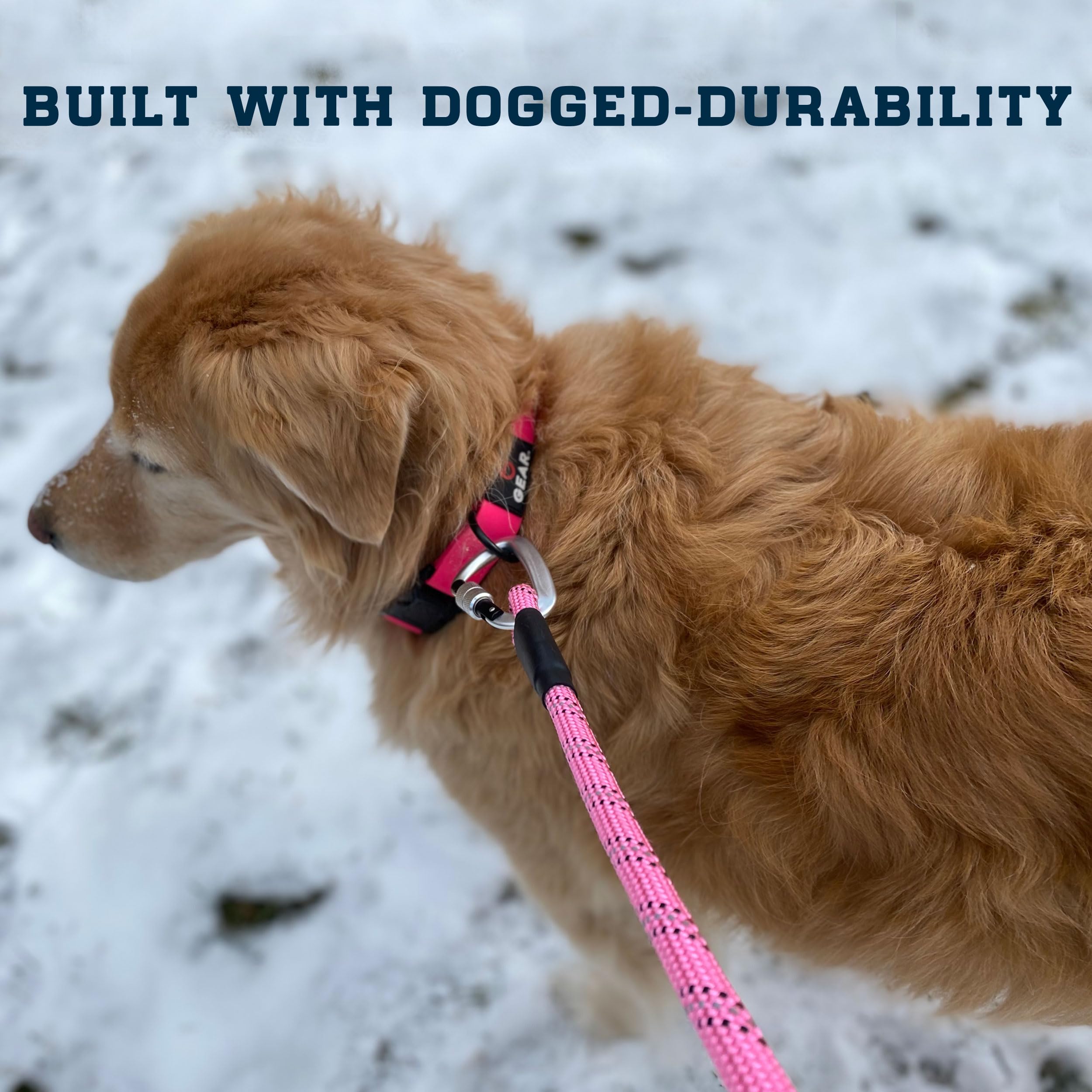 Enthusiast Gear reflective stitching at night promotes visibility during walks.