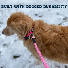 Enthusiast Gear reflective stitching at night promotes visibility during walks.