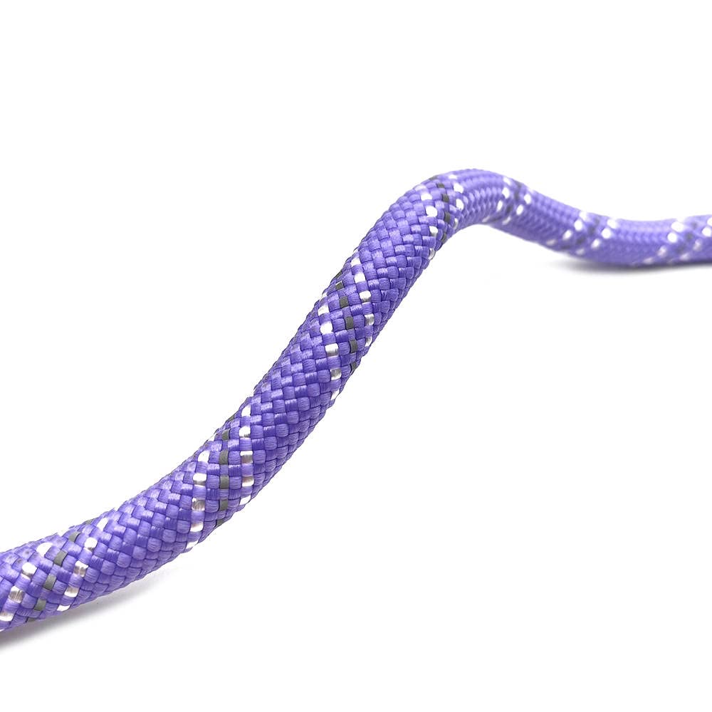 Enthusiast Gear slip-leash conversion demonstration shows quick training or control.