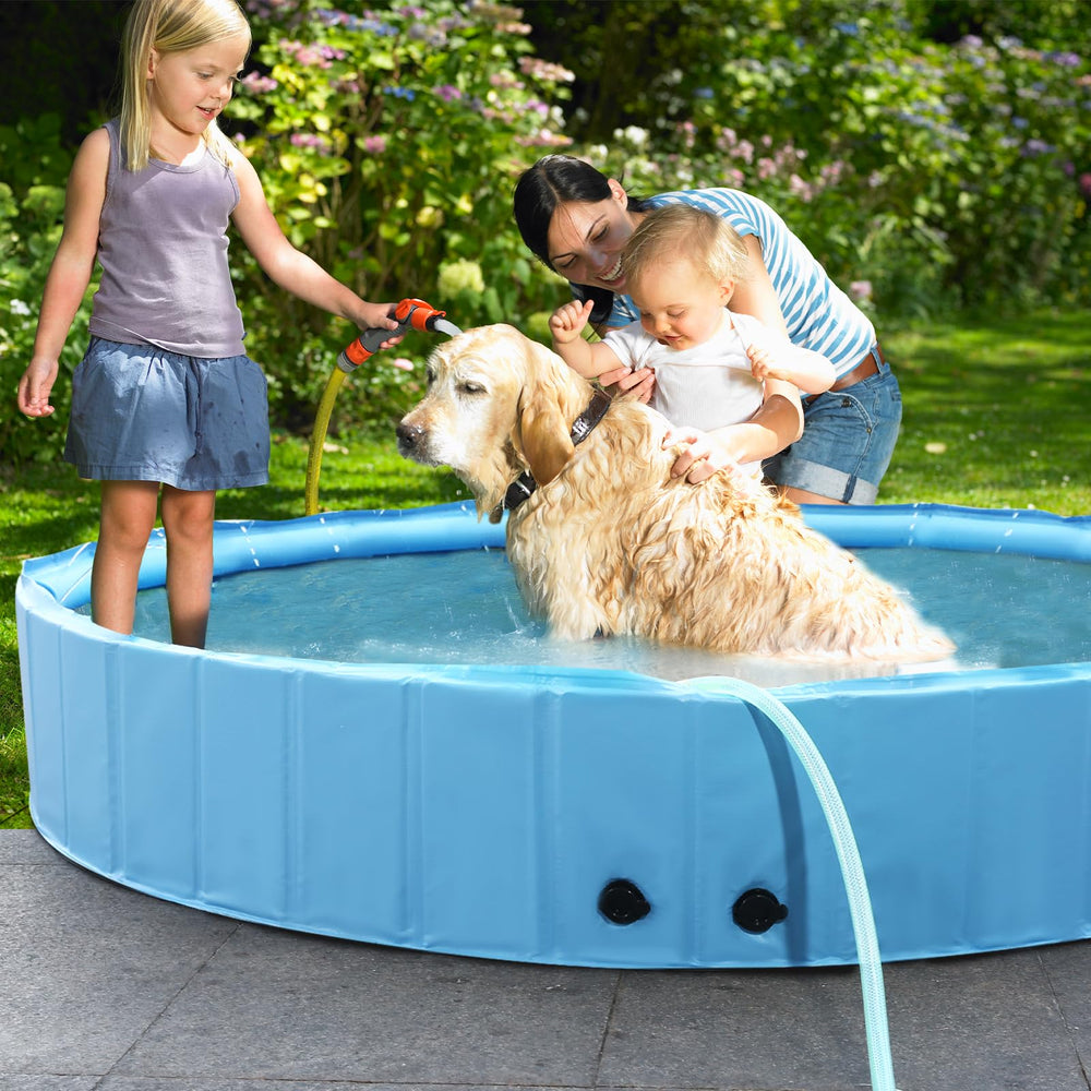 Eooqi outdoor backyard setup with dog pool for cooling and play.