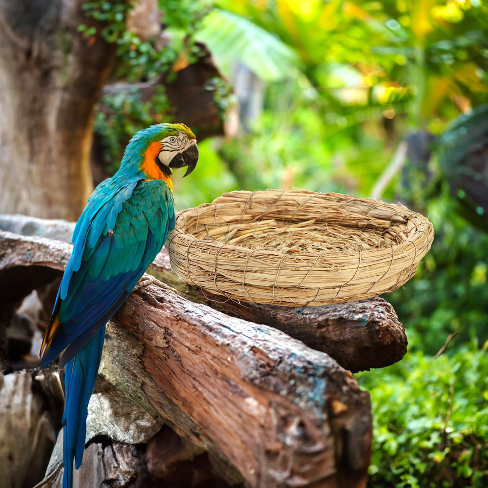 Eorbow 8-inch nest features sturdy flat base for secure egg-laying.