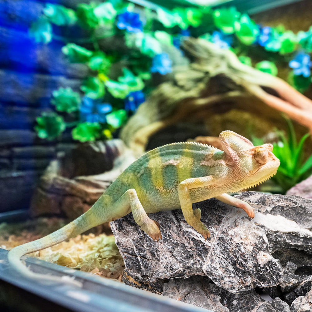 Eorbow Seiryu stones in a terrarium with plants for micro-landscaping.