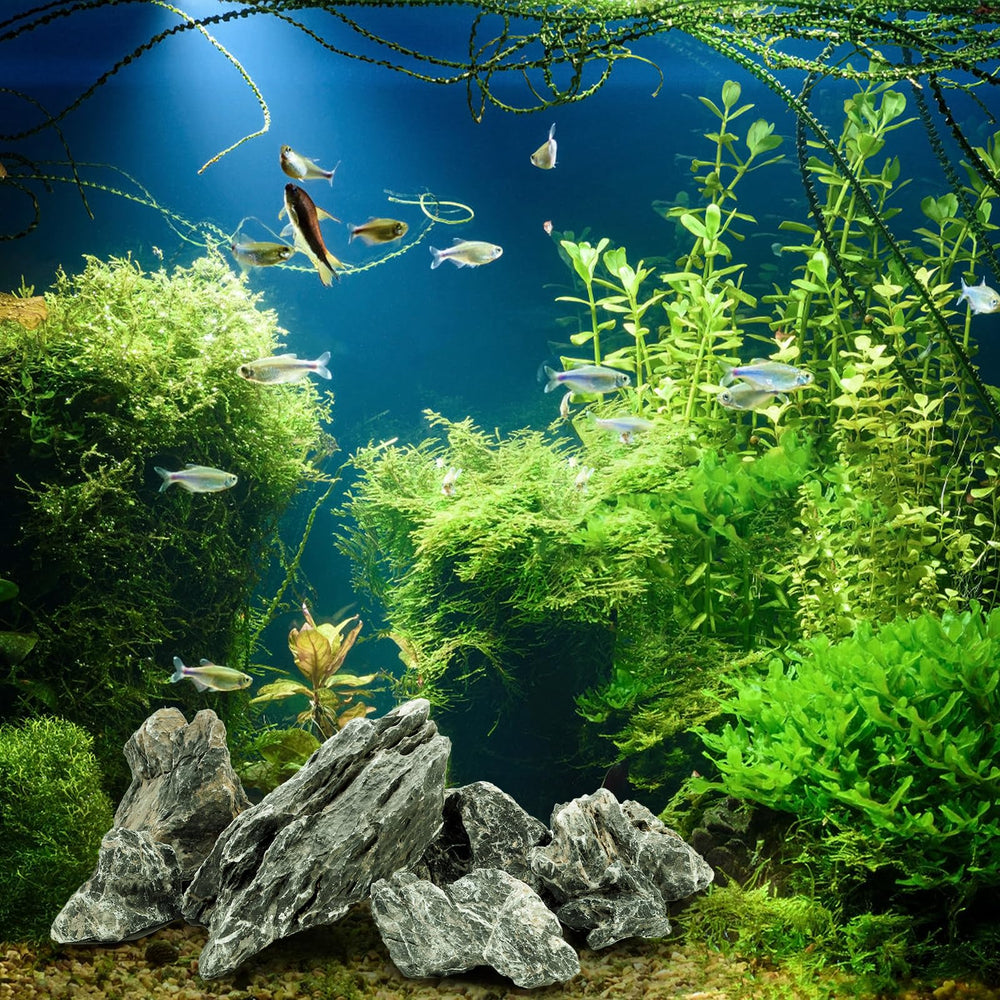 Eorbow Seiryu stone natural texture patterns for hard-water aquarium setups.