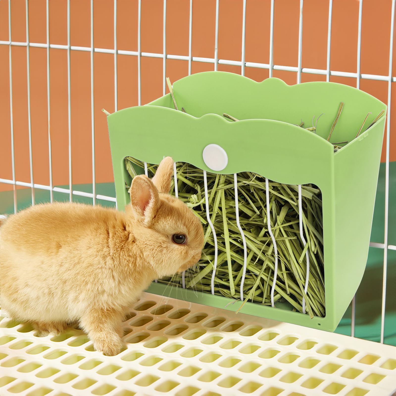 Eorbow small animal feeding dispenser promoting tidy feeding routines