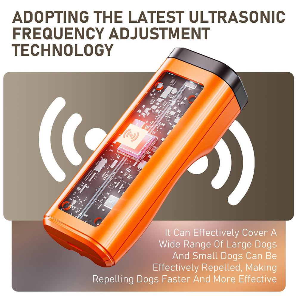 Eorery suitable for small, medium, and large dogs across scenarios