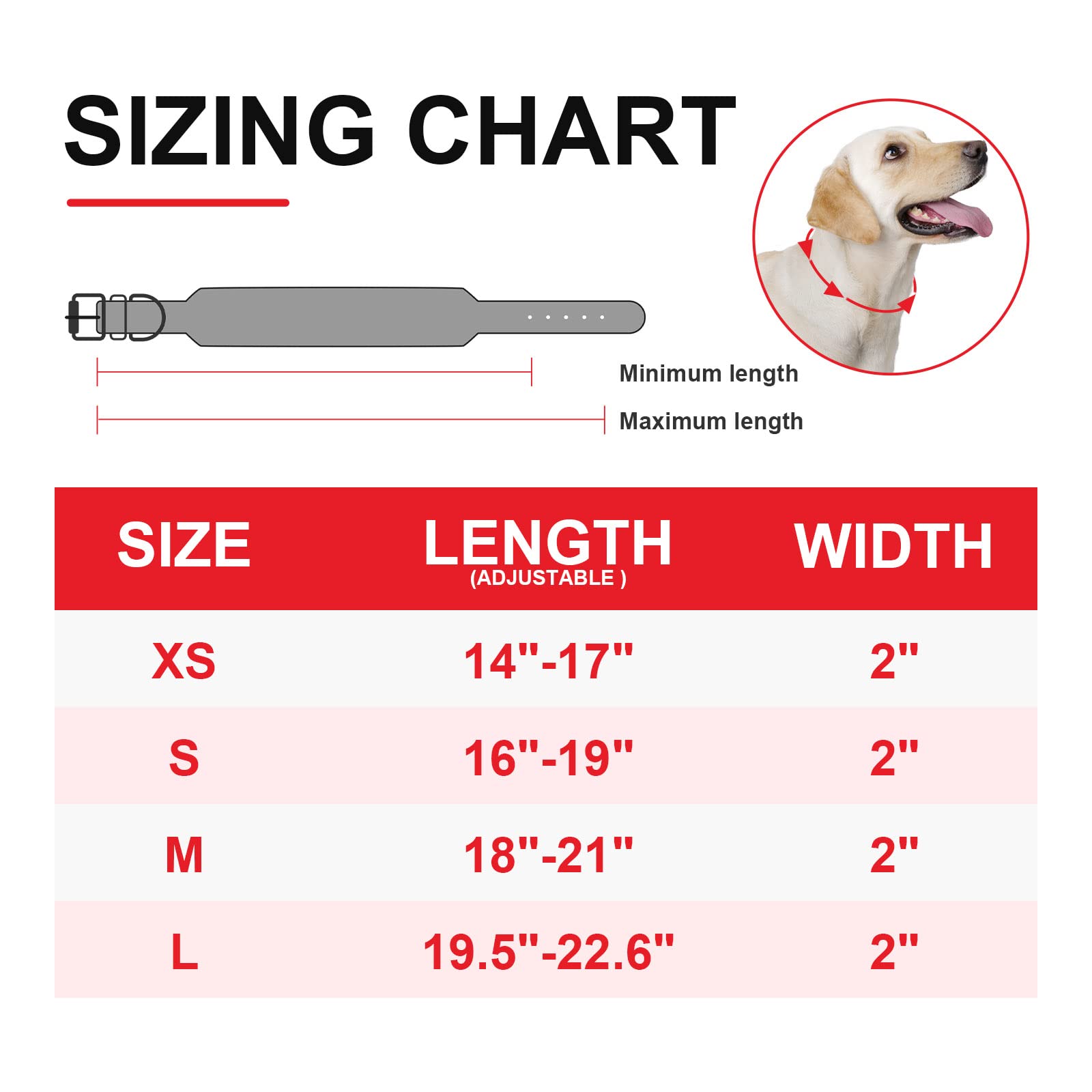 Epesiri leash attachment area shows reinforced stitching and secure handle