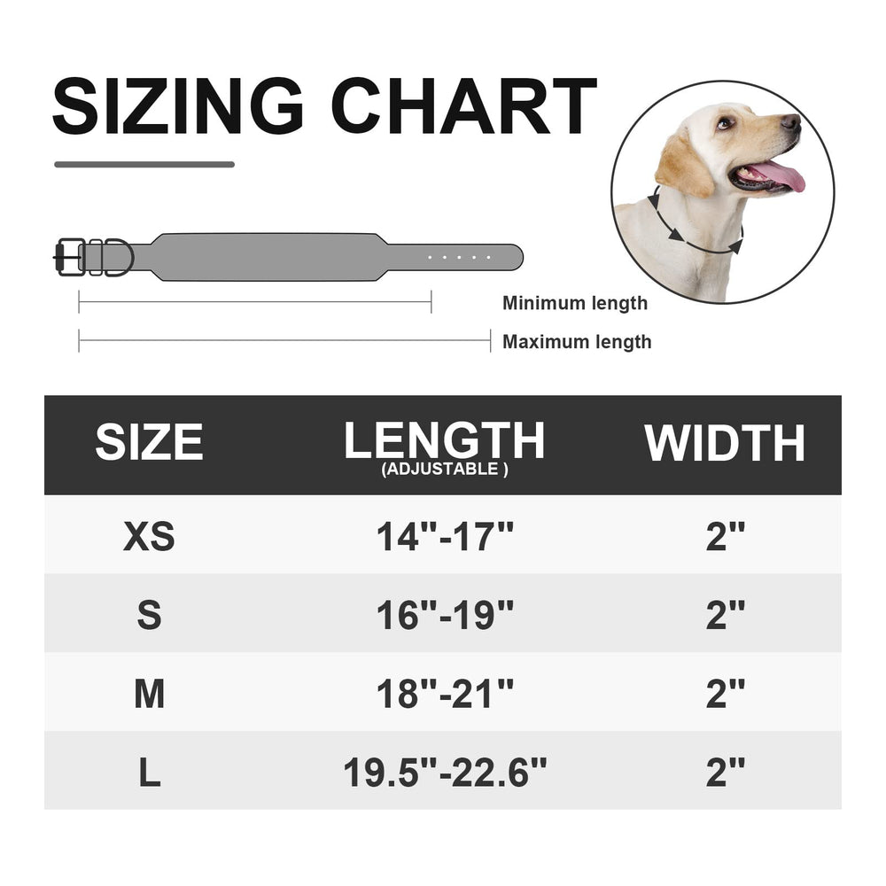 epesiri spiked dog collar buckle adjustment demonstrates secure fit across breeds