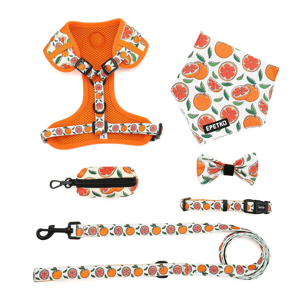 EPETKO harness colorful pattern printing adds vibrant style for daily walks.