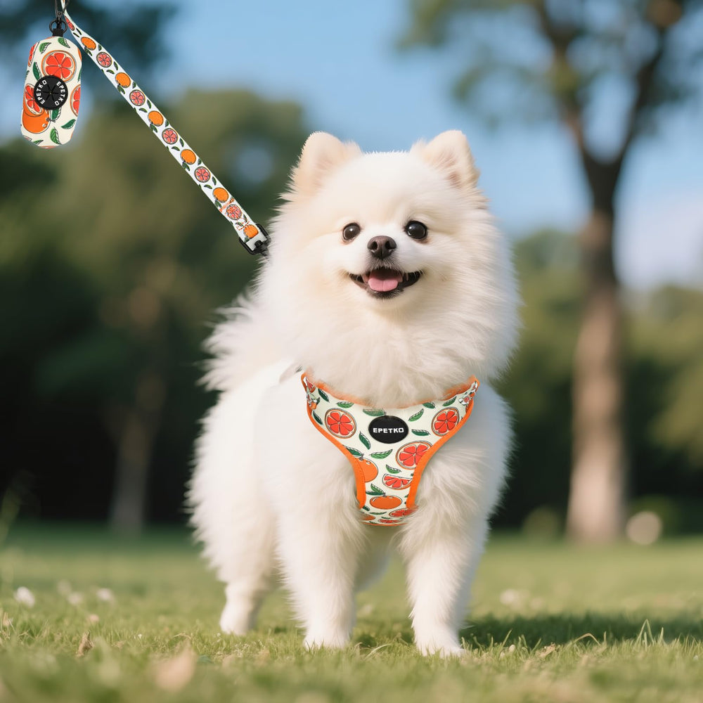 EPETKO outing kit includes leash, collar, bow tie, towel, and waste bag for travel.