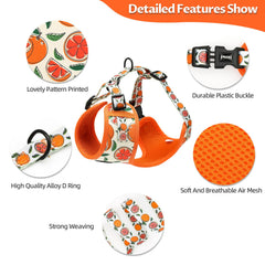 EPETKO harness with quick-release buckles makes dressing your dog quick and easy.