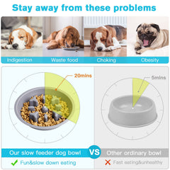 EpetsLove no spill resin feeding station keeps feeding area clean