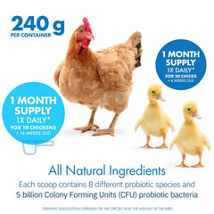 Equa Holistics HealthyGut bottle in coop with chicks during feeding