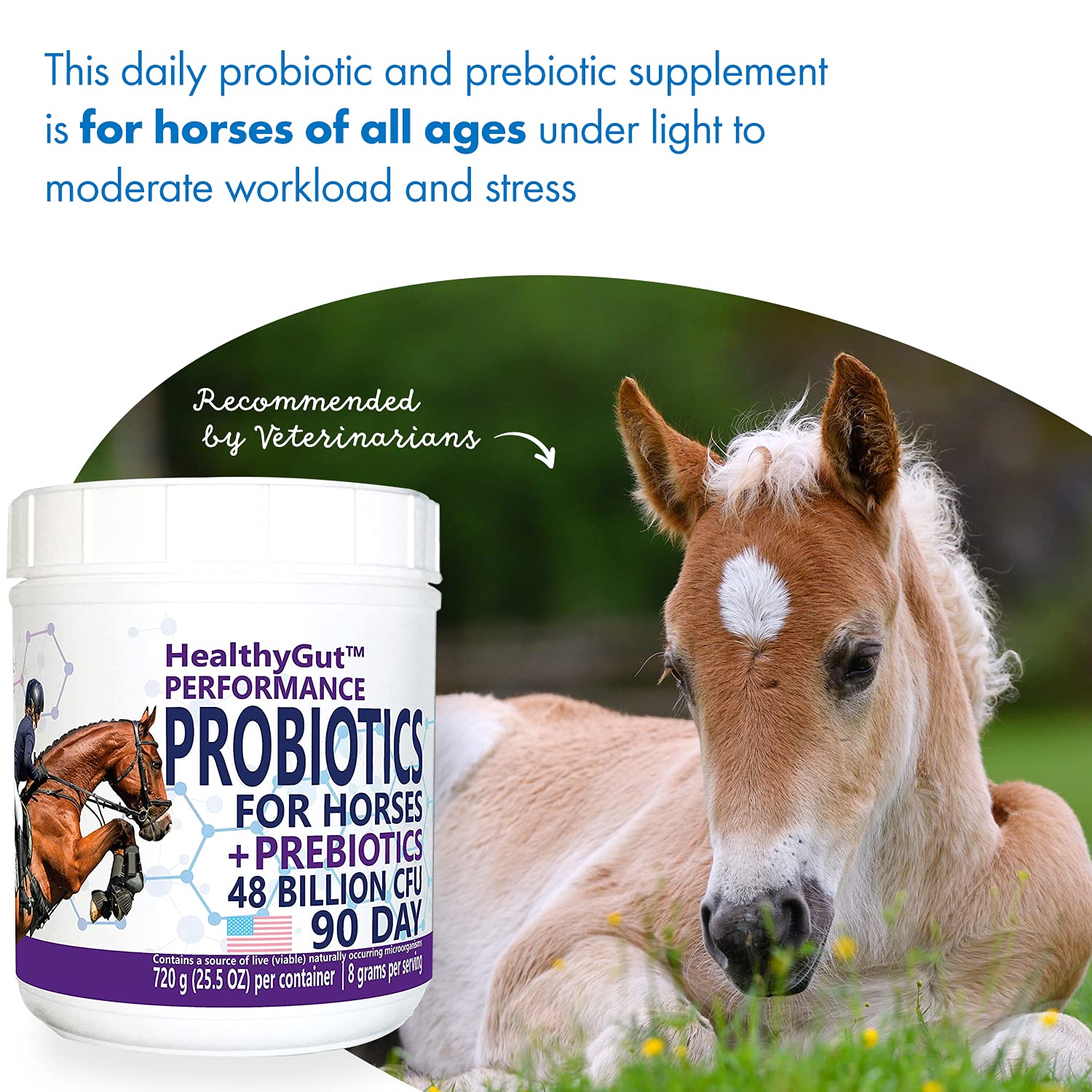 Equa Holistics HealthyGut Probiotics for horses supports hind gut health and digestion