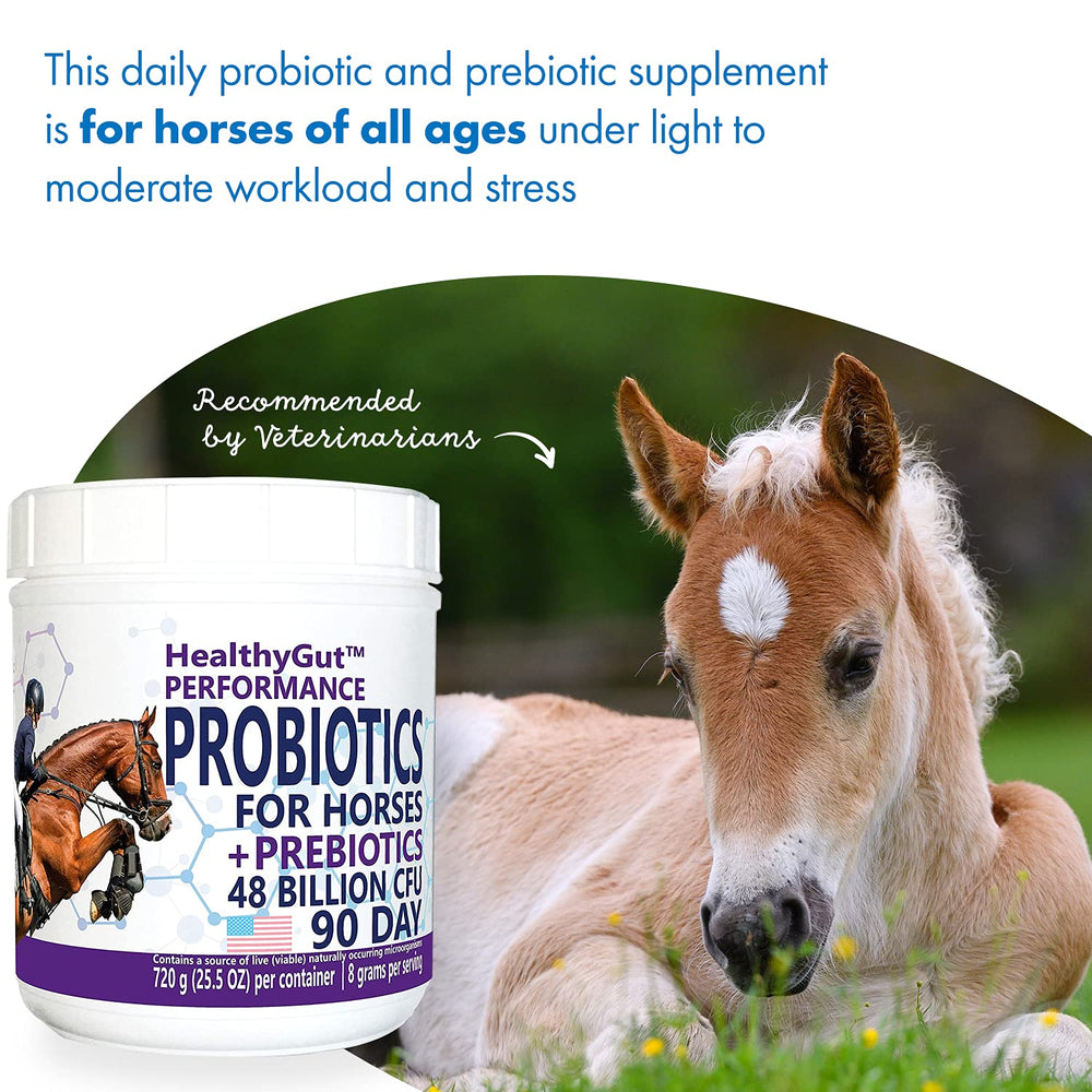 Equa Holistics HealthyGut Probiotics for horses supports hind gut health and digestion