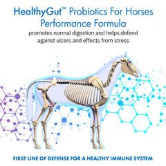 Equa Holistics HealthyGut Probiotics on food sprinkle provides daily supplementation