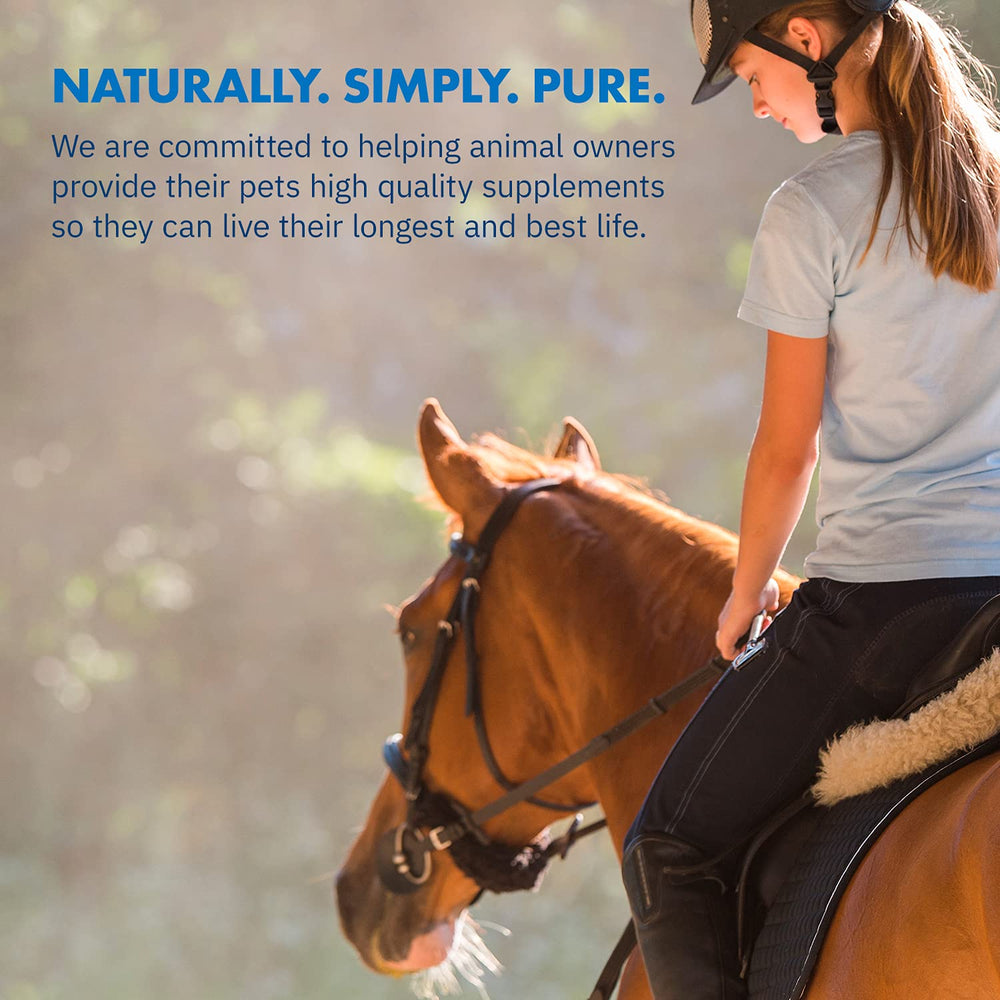Equa Holistics HealthyGut Probiotics powder supports overall gut wellness for horses