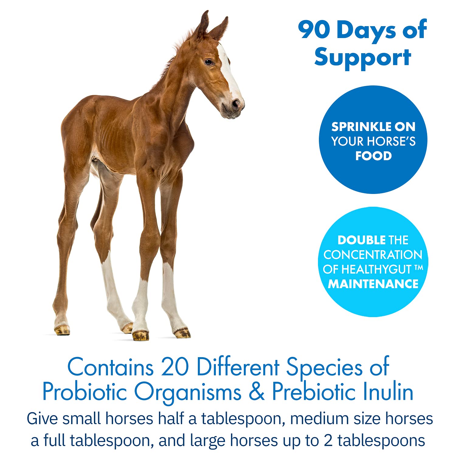 Equa Holistics HealthyGut Probiotics address stress-related digestive changes in horses