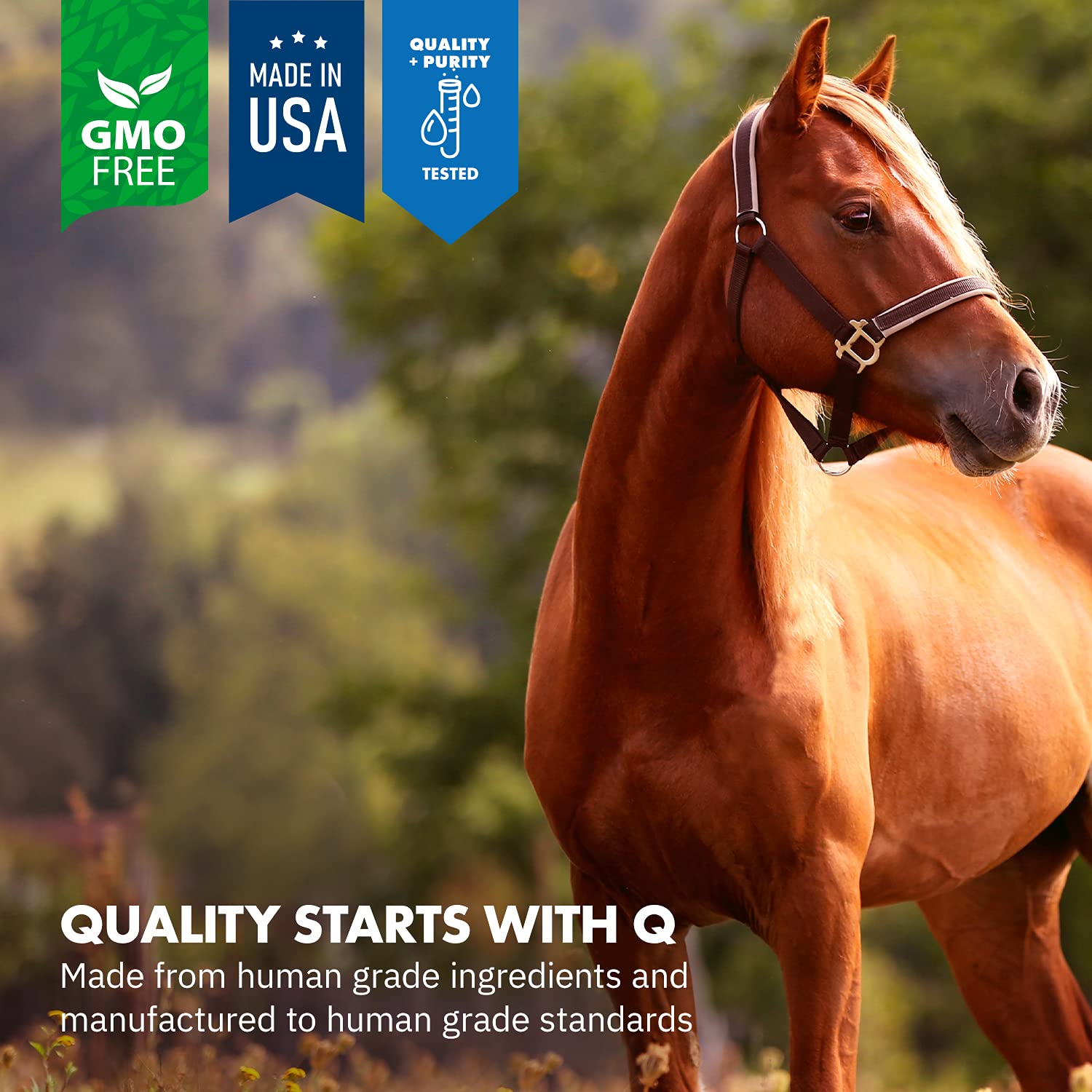 Equa Holistics HealthyGut Probiotics USA-made formula emphasizes purity and reliability