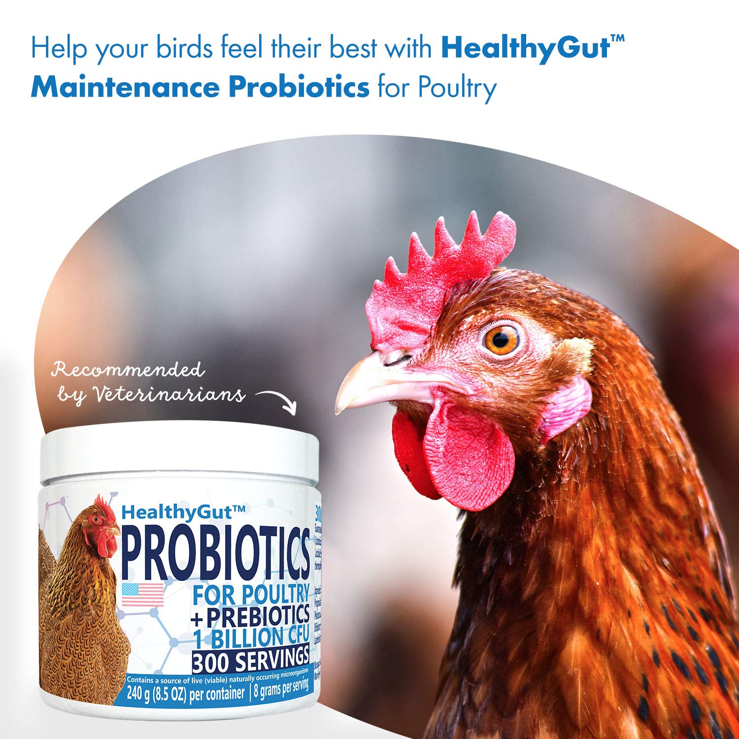 Equa Holistics HealthyGut label highlighting probiotic species