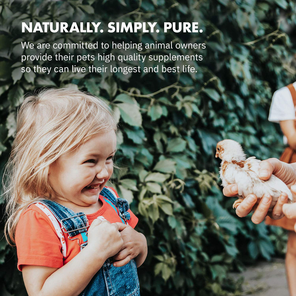 Equa Holistics HealthyGut probiotic with prebiotic inulin for poultry health