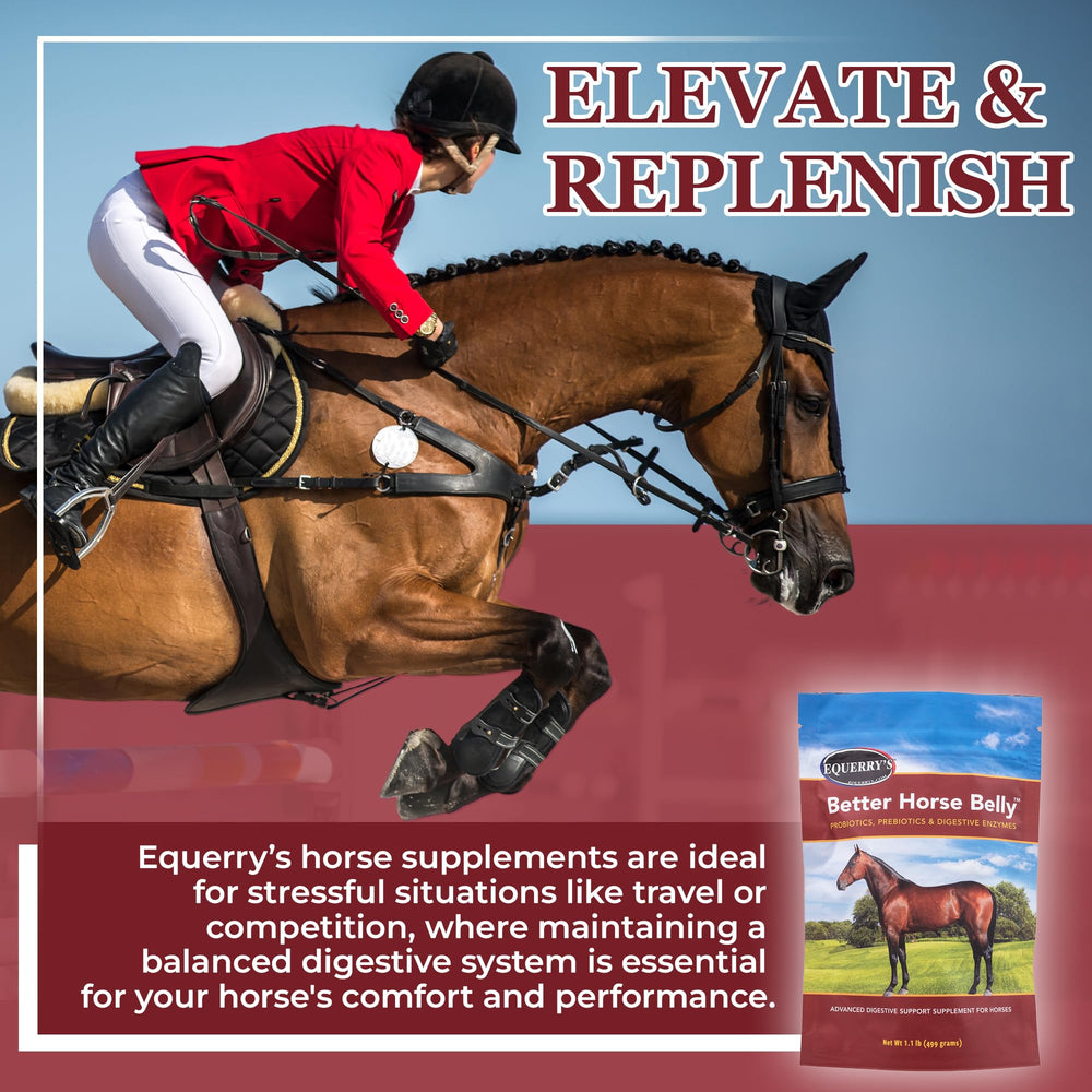 Equerry's Better Horse Belly product preparation suits travel or competition-ready feeding routines.
