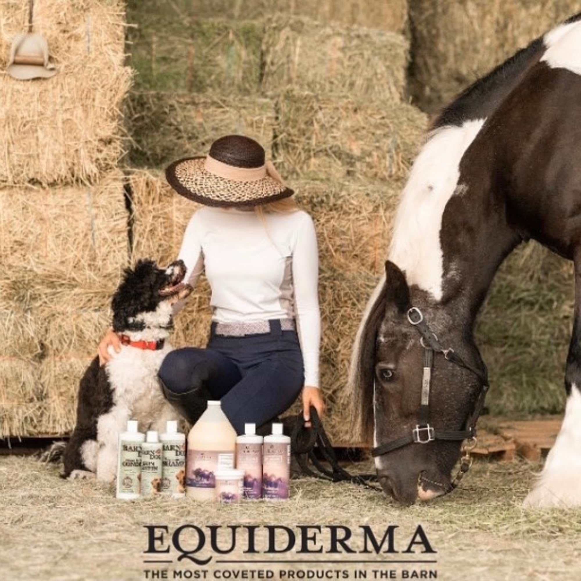 EQUIDERMA Dry skin patch relief on healthy coat