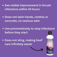 Equiderma hoof application on hoof demonstrates easy brush-on use
