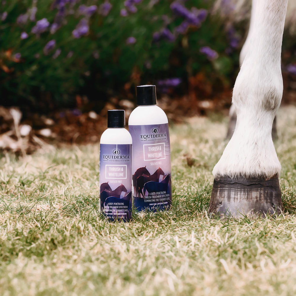 Equiderma lavender aroma close-up suggests calming hoof care routine