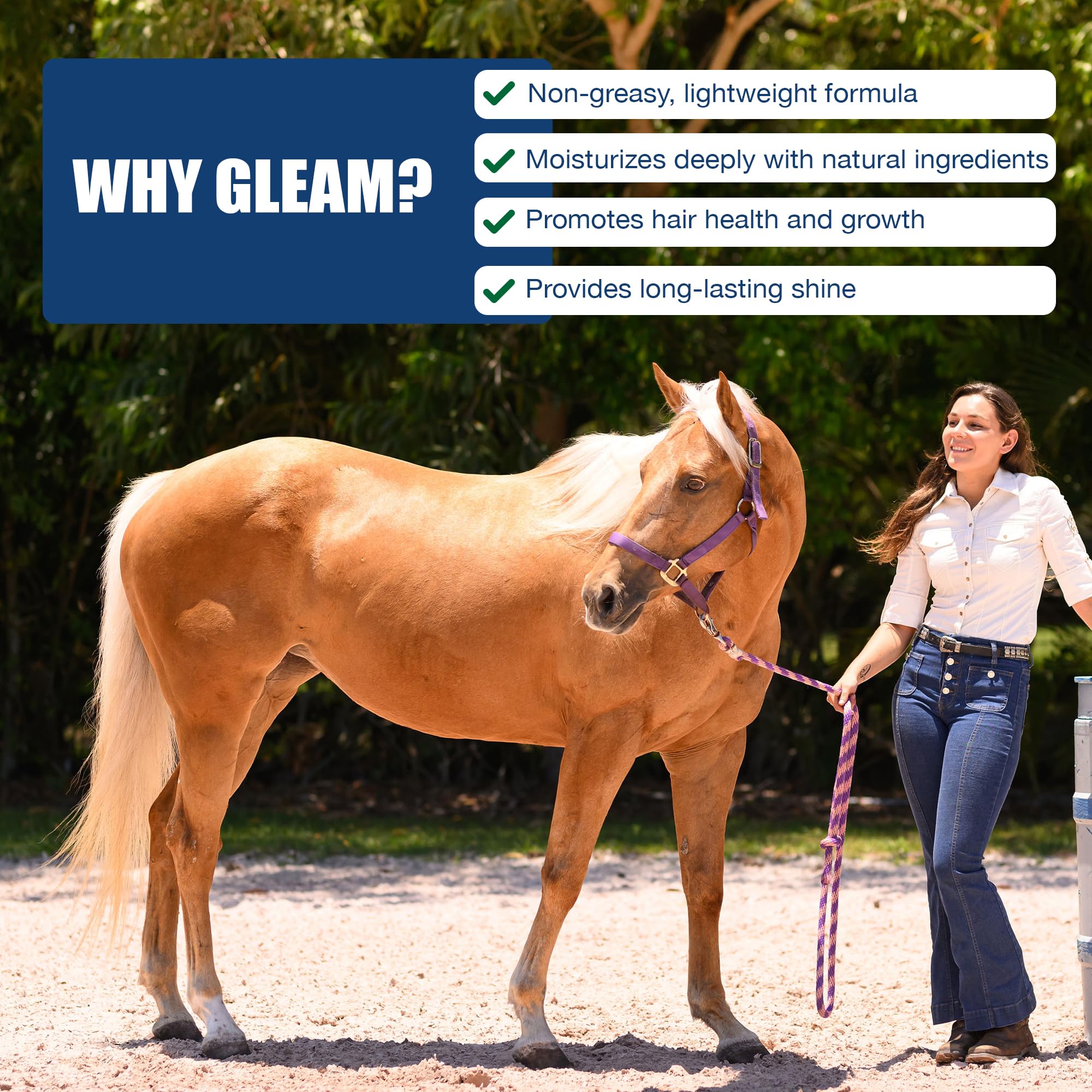 EquiFUSE Gleam soft hair close-up emphasizes manageability without heaviness.