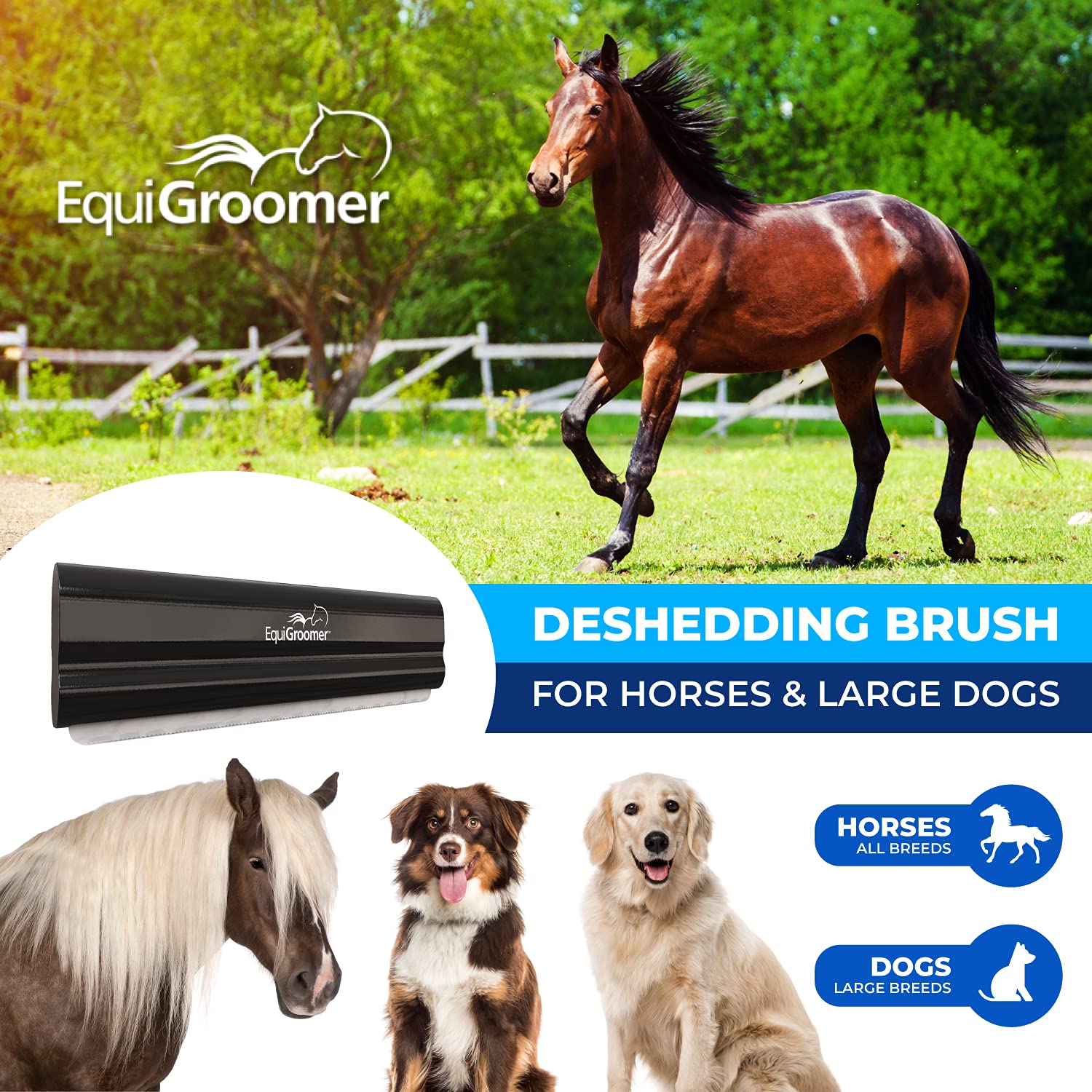 EquiGroomer deshedding brush blade closeup: precise dead-hair removal without pulling.