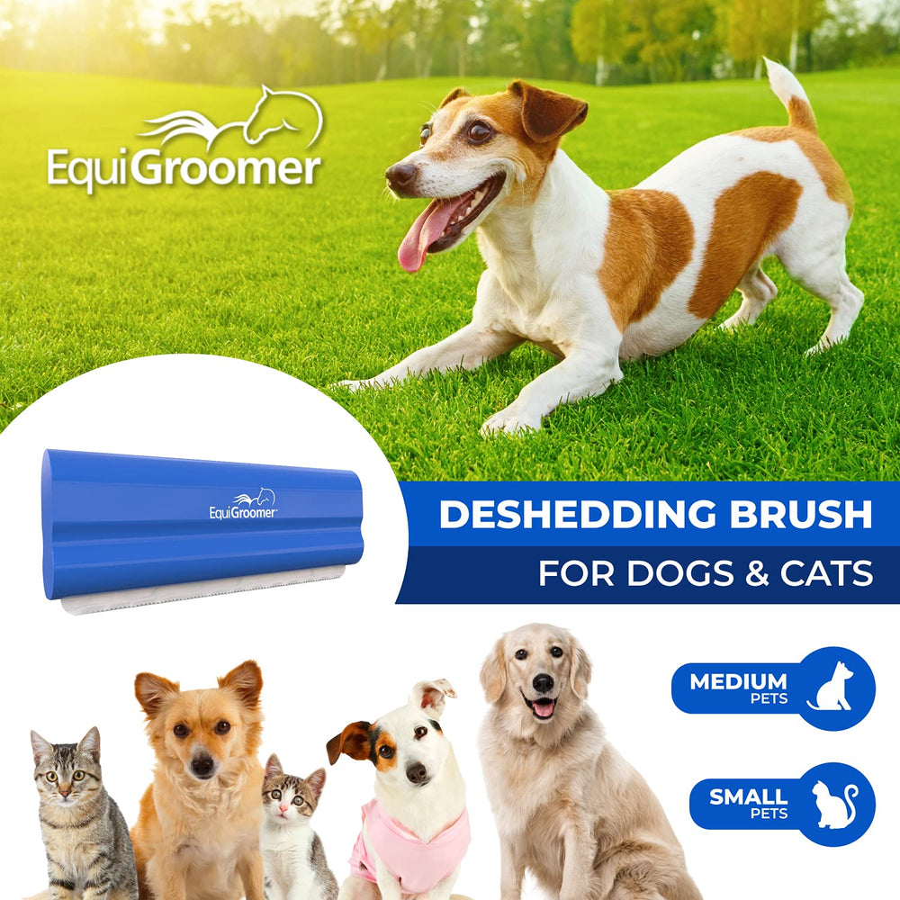 EquiGroomer EasyGroomer deshedding brush on cat coat helps control shedding