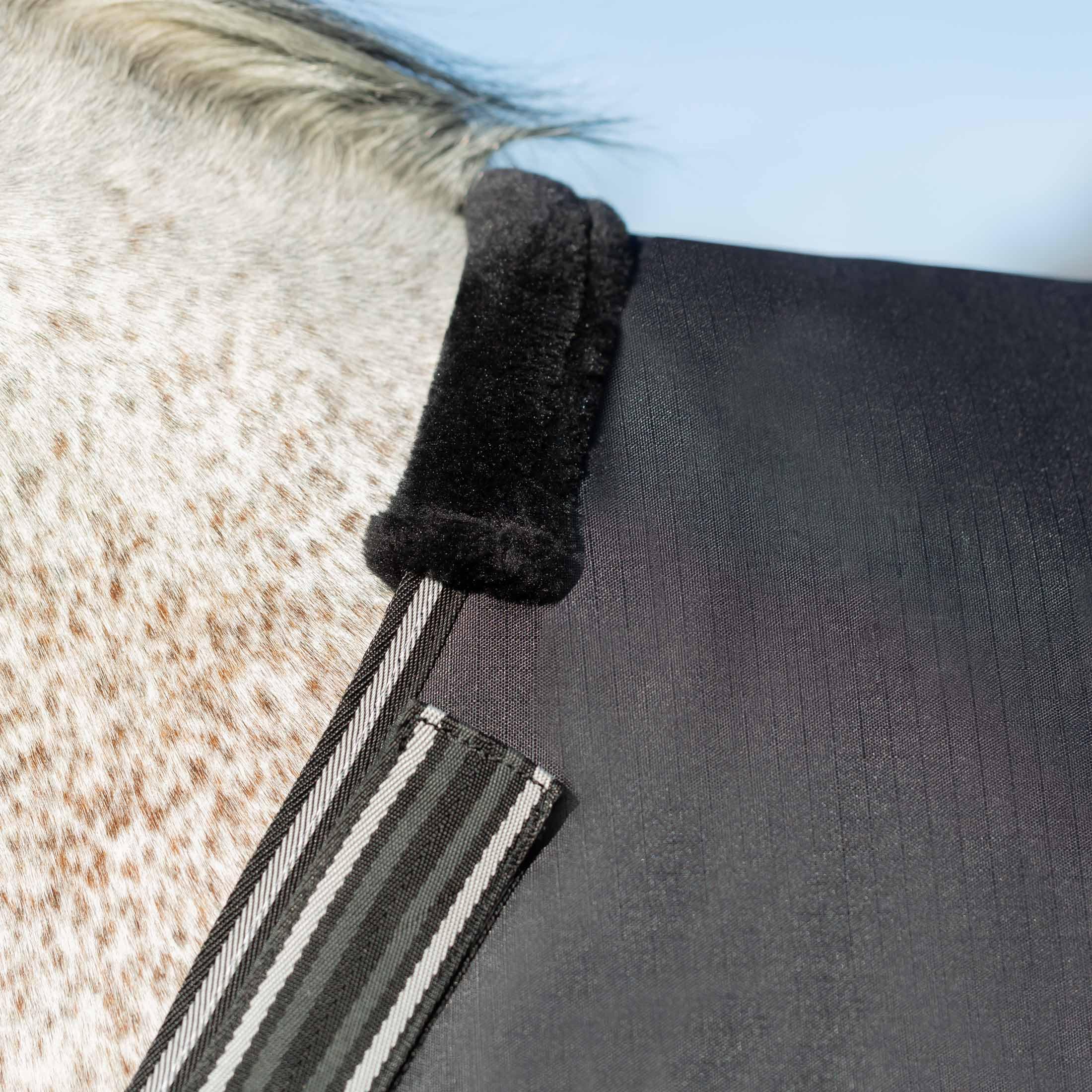 Equinavia Norse No Fill Rain Blanket black color suits any stable.