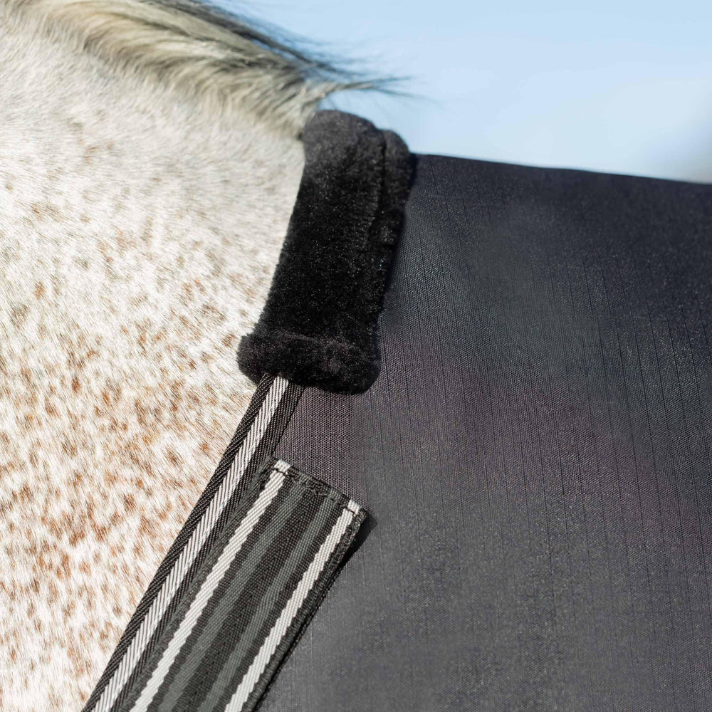 Equinavia Norse No Fill Rain Blanket black color suits any stable.