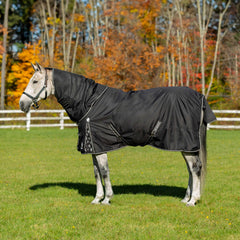 Equinavia Norse No Fill Rain Blanket quick-release buckles for easy secure fit.
