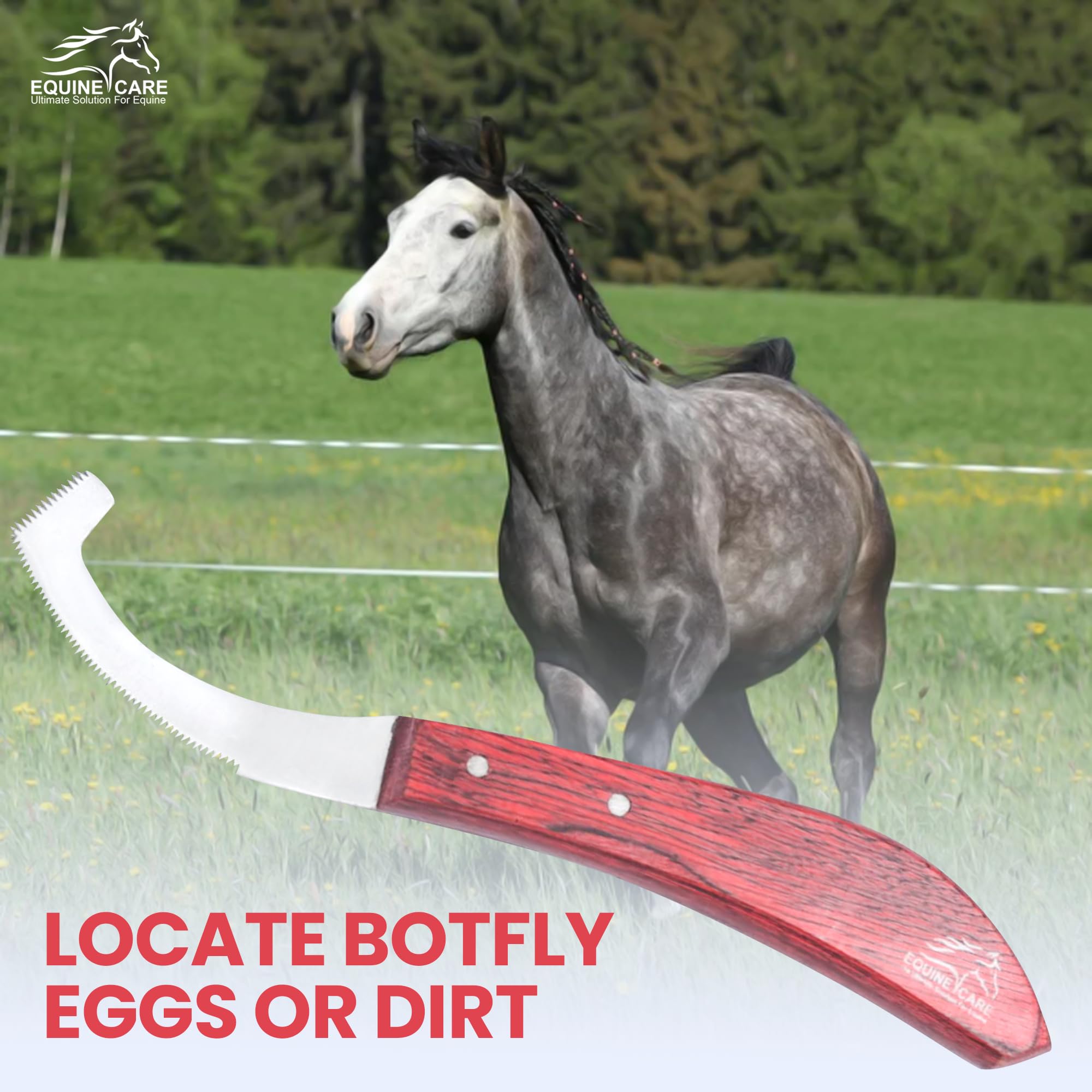 Equine Care bot knife professional-use trusted by farriers and caretakers.
