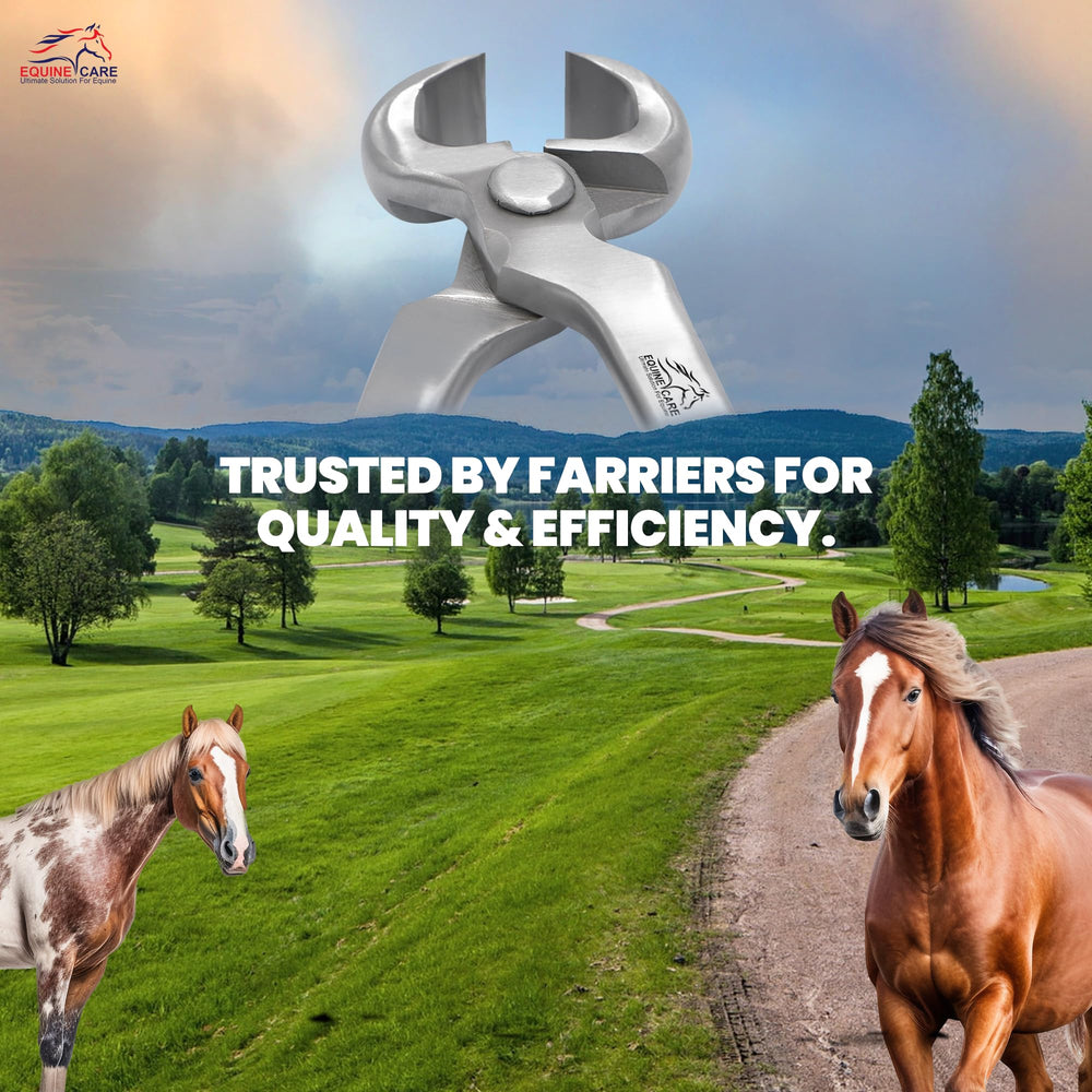 Equine Care hoof nipper maintenance steps for longevity and rust resistance.