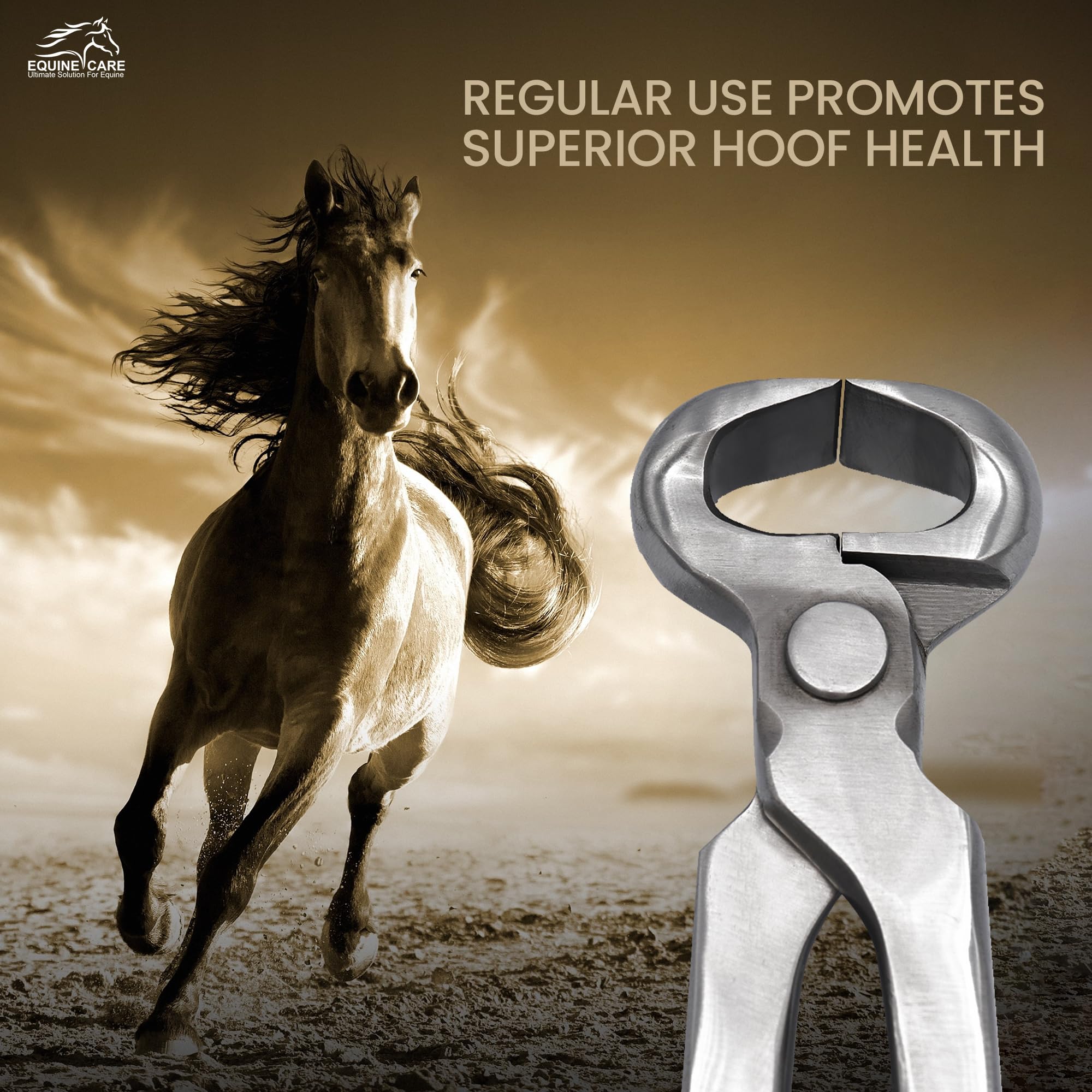 Equine Care hoof nipper in-use demonstration illustrating confident trimming at a barn.