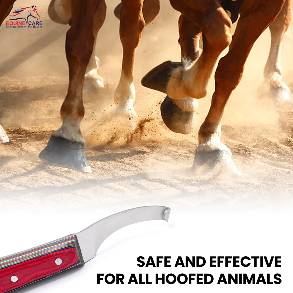 Equine Care in-use left-handed farrier demonstrates controlled trimming