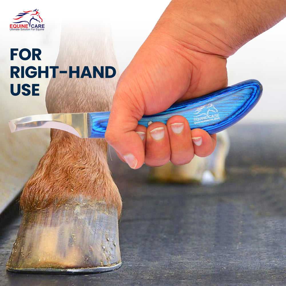 Equine Care Long-lasting performance during frequent trimming sessions.
