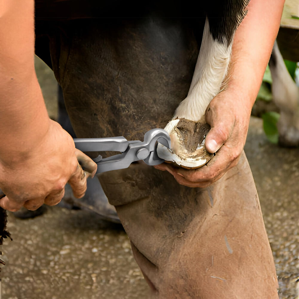 Equine Care packaging and case included with sharpened hoof nipper.