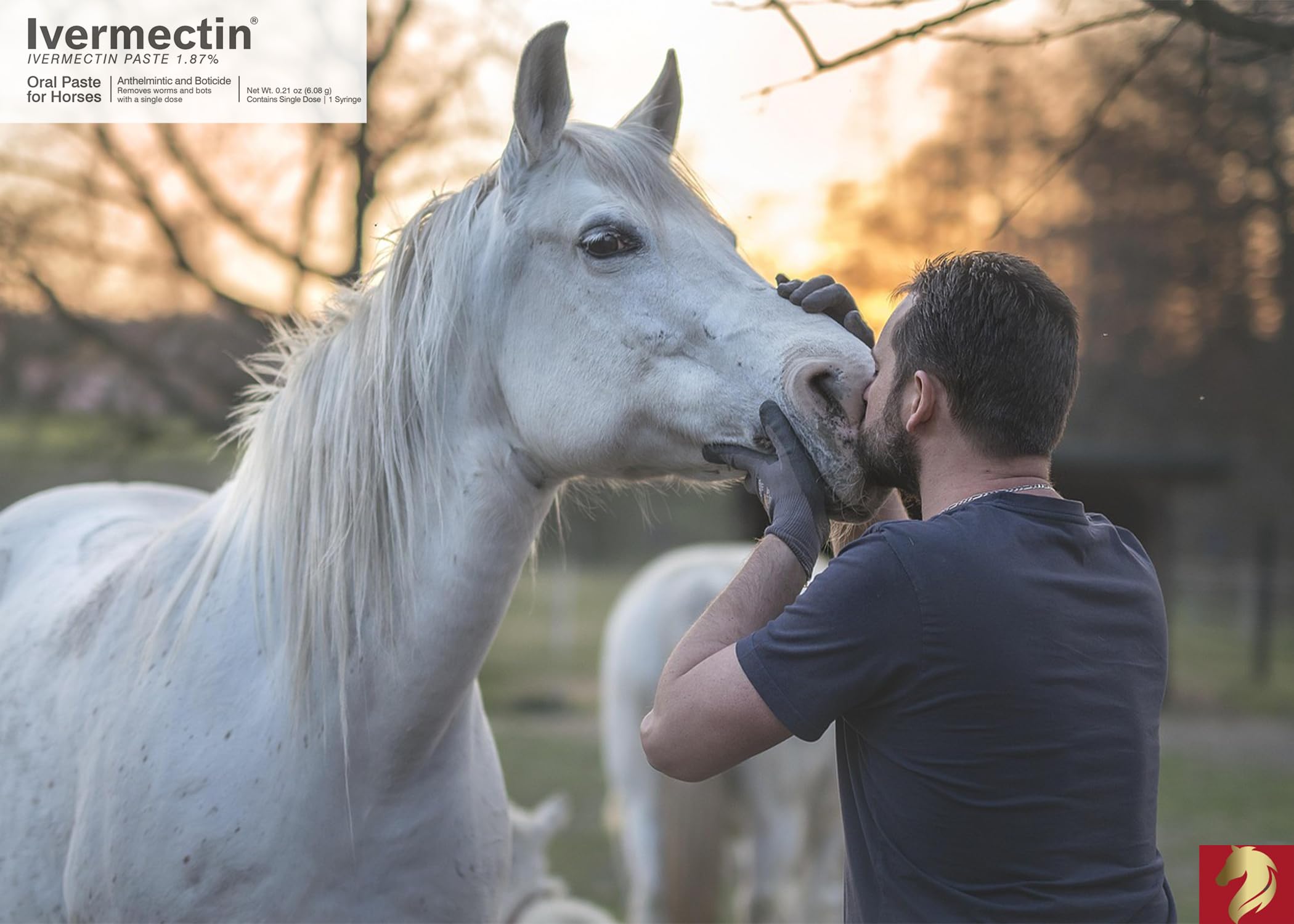 Equine Prime ivermectin 6cc vials closeup — precise dosing for parasite management.