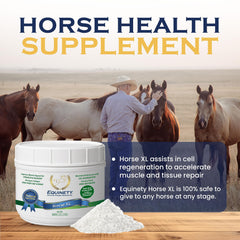 Equinety Horse XL dosing scoop shows easy daily supplementation