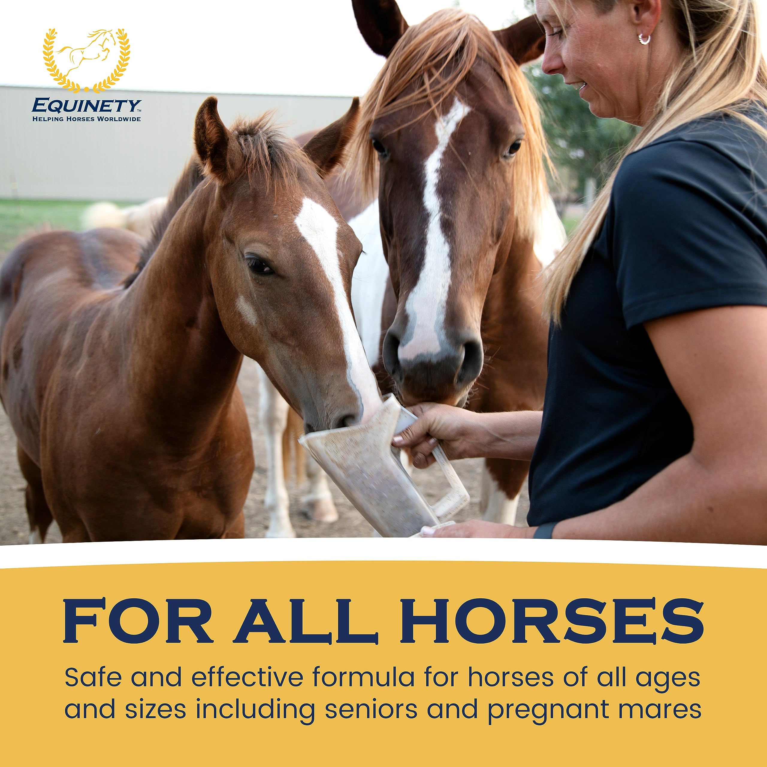 Equinety Horse XL joint-flexibility imagery highlights potential daily movement support