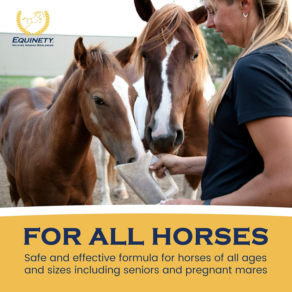 Equinety Horse XL joint-flexibility imagery highlights potential daily movement support