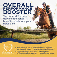 Equinety Horse XL powder dispensing into feed demonstrates simple integration