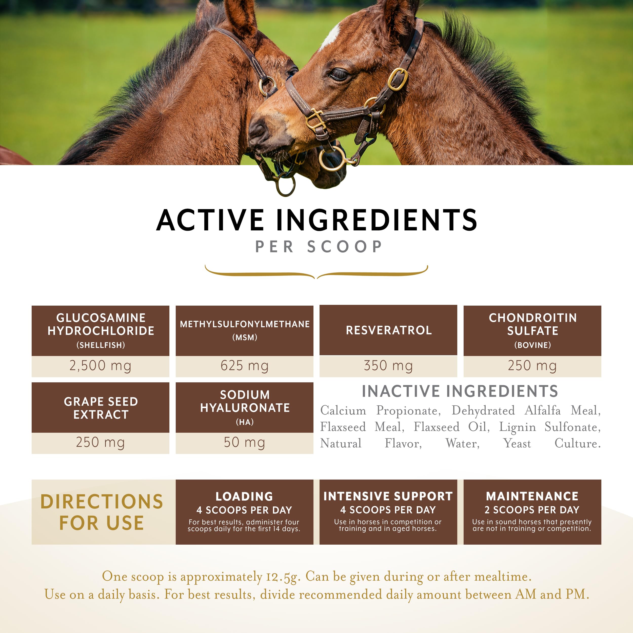 Equithrive glucosamine, chondroitin and hyaluronic acid close-up label for cartilage support.
