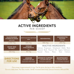Equithrive glucosamine, chondroitin and hyaluronic acid close-up label for cartilage support.