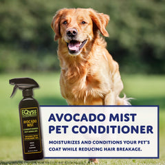 Eqyss Avocado Mist on coat highlights detangling and shine without heaviness.